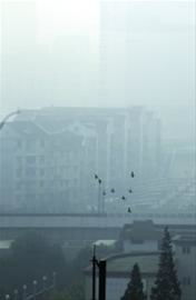 昨日上海PM2.5監(jiān)測(cè)點(diǎn)全紫 大氣污染敲響空氣環(huán)境警鐘