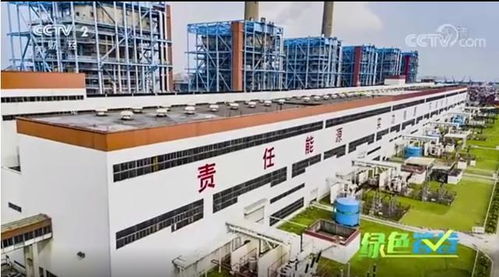 深圳 一座可以深呼吸的城市，央視點贊的大氣污染監測典范
