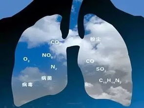 空氣污染的健康影響與蕪湖首啟監(jiān)測(cè)評(píng)估的實(shí)踐意義